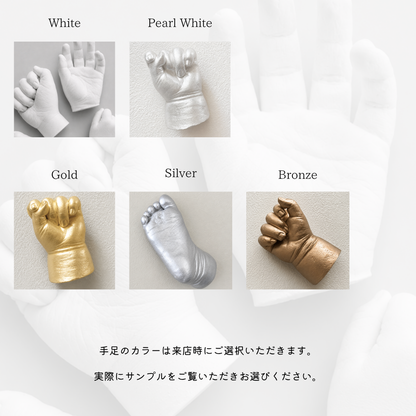 手足形カラーサンプル
